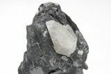 Metallic Wodginite Crystals - Brazil #214504-2